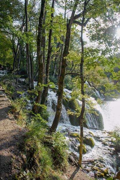 Croatia Plitvice Lakes