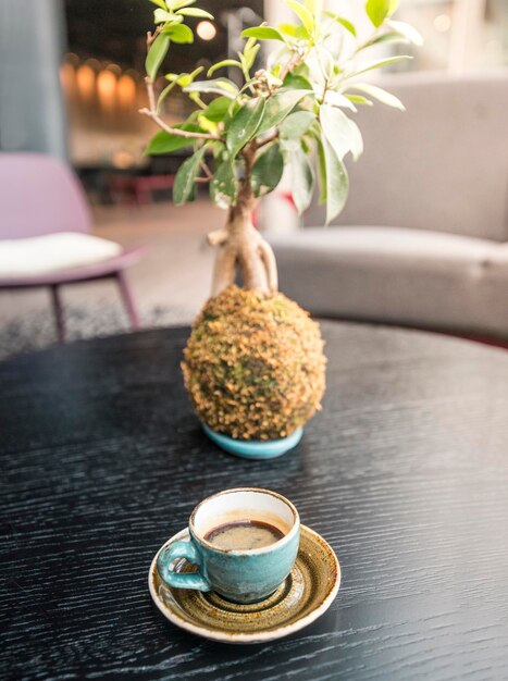 Foto ceramiche e piante in vaso su tavola