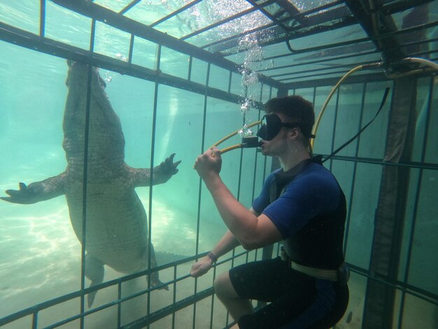 Photo crocodile cage diving