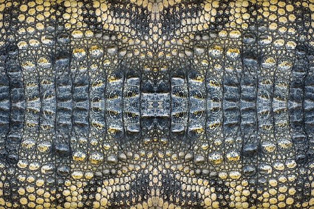 crocodile skin