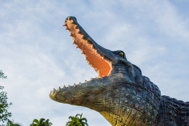 Crocodile and the sky.