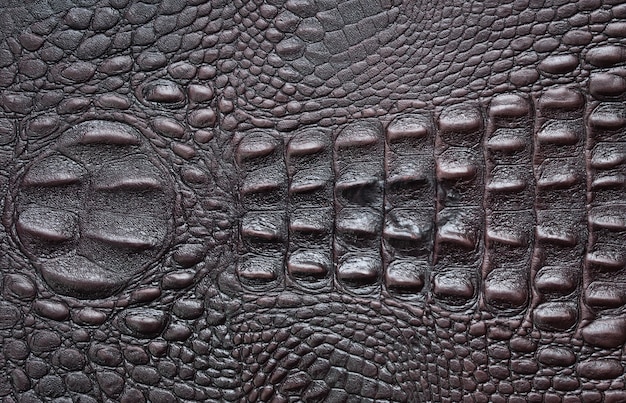 Crocodile Texture Leather Background