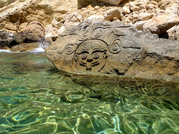 Photo crocodile in water