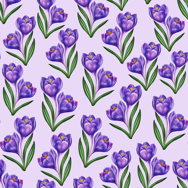 Crocus blue seamless pattern of spring flowers. watercolor illustration