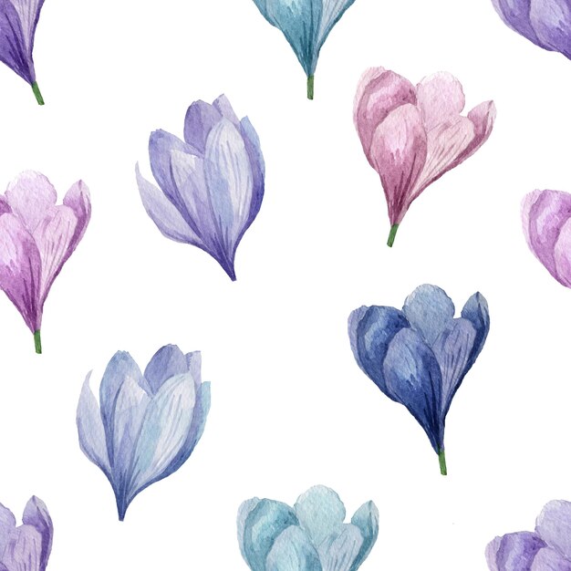 Crocuses blue purple watercolor pattern