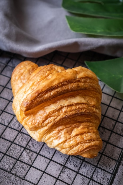 Croissant on baking rack with dark background