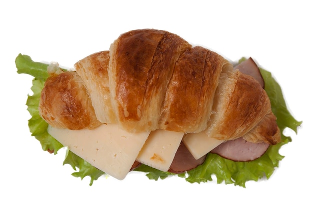 Croissant sandwich with ham and cheese on a white plate