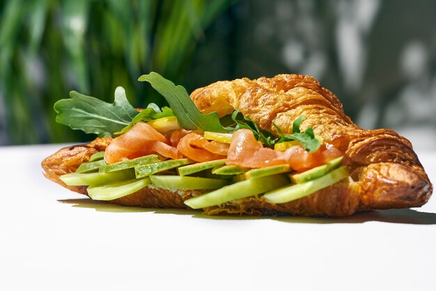 Croissant sandwich with salmon, arugula and avocado. Hard light. White background