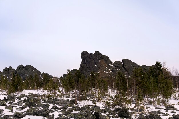 Crooked dwarf forest at the foot of granite rocks in the highlands in winter