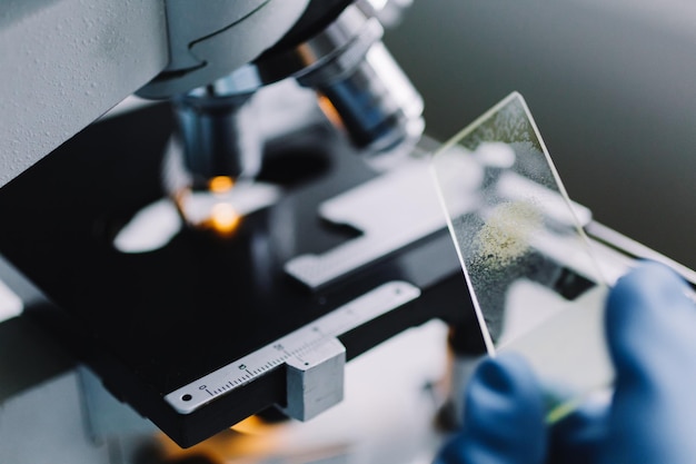 Crop close up hands holding microscope glass with on blurred background of lab workspace