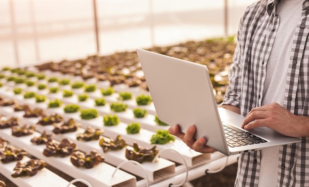 Crop farmer using laptop in greenhouse