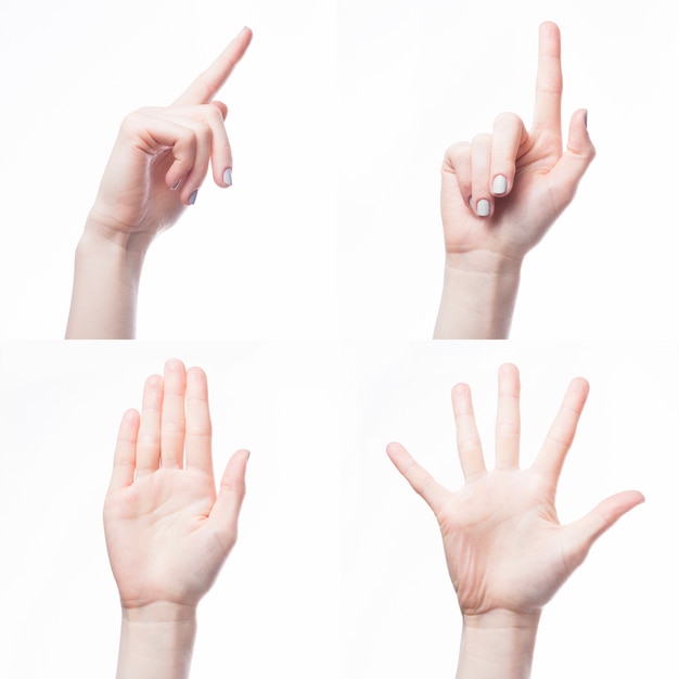 Crop hand gesturing on white background