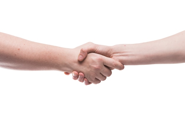 Photo crop hands in handshake