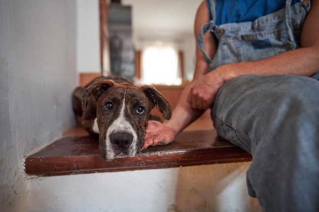 Crop man caressing dog at home