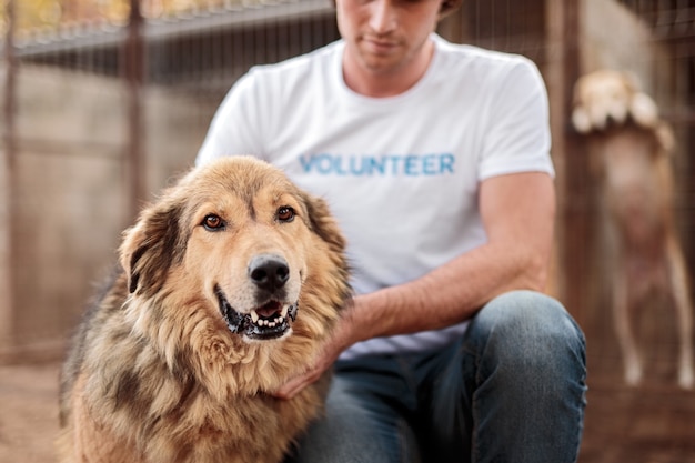 動物保護施設で働いている間、ボランティアのTシャツで陽気なホームレスの犬を愛撫する作物の男