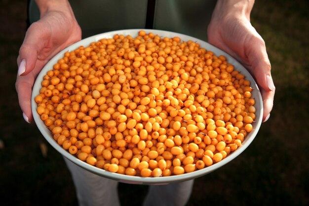 Crop of ripe sea buckthorn berries in a plate