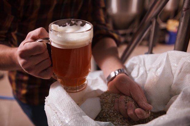 Cropped close up of a brewer holding beer mug and handful of barley