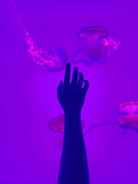 Photo cropped hand against fish tank