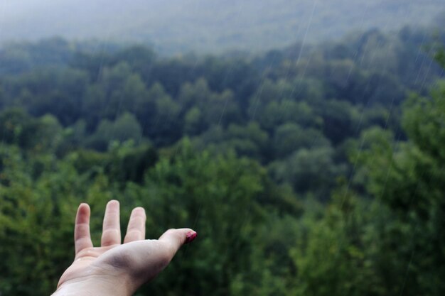 사진 비가 오는 계절 에 나무 에 맞대고 있는 손
