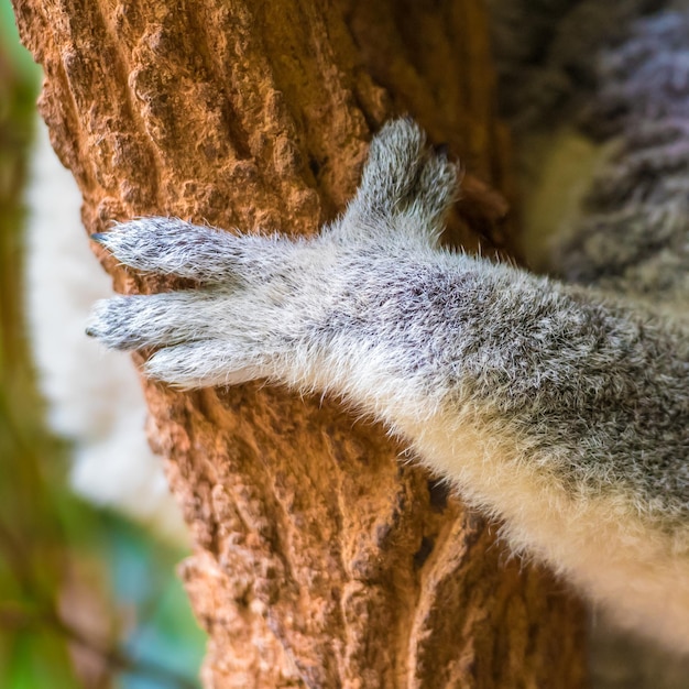 Foto mano tagliata sull'animale che tiene il tronco dell'albero