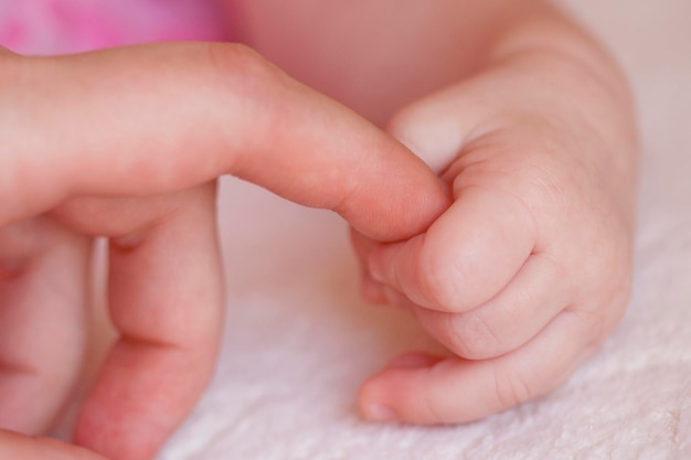 cropped hand of baby holding finger