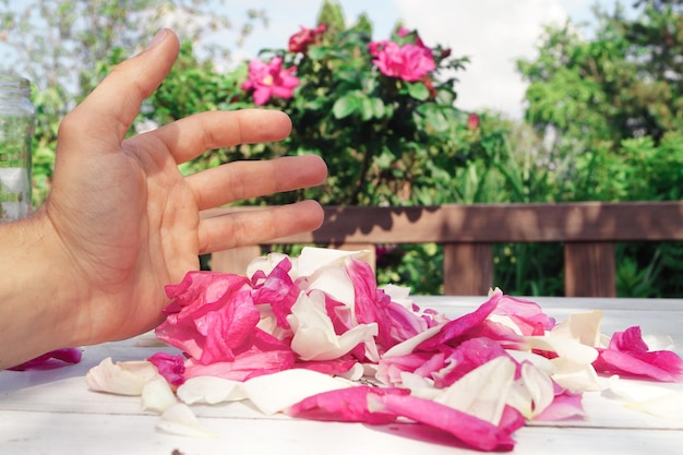 Foto tagliato a mano da petali di rosa in cortile