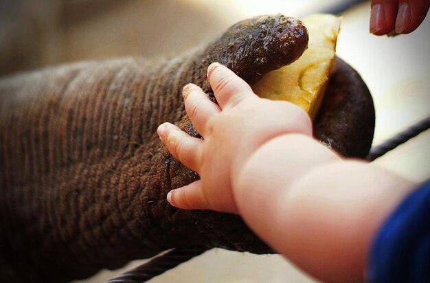 Foto mano tagliata di un bambino