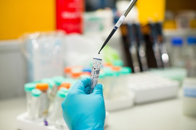 Cropped hand of doctor doing research in laboratory