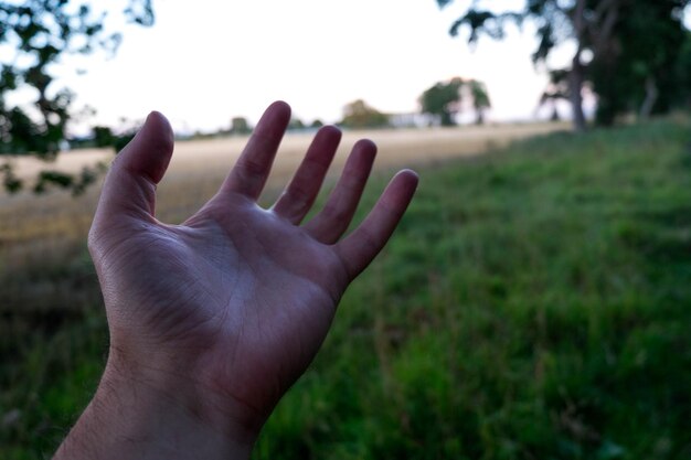 Photo cropped hand over field