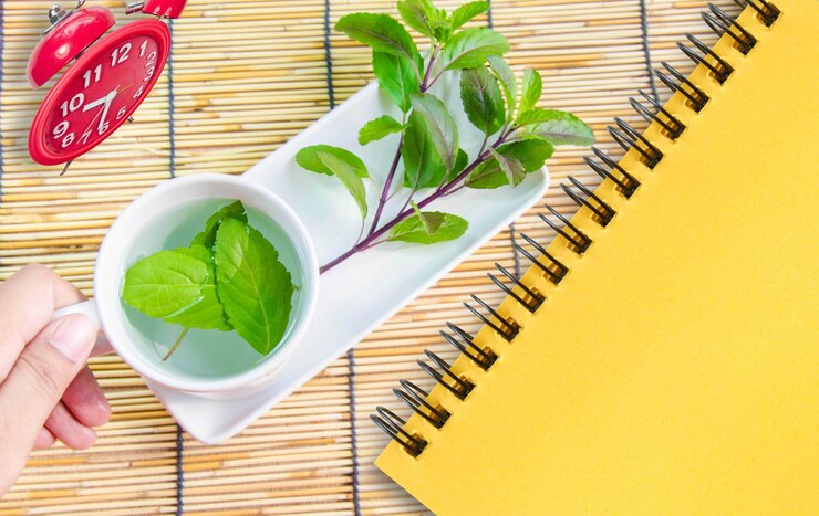 نقش گیاهان دارویی در تقویت حافظه و افزایش تمرکز