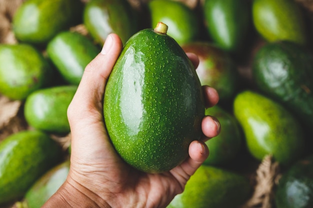 Photo cropped hand holding avocado over table