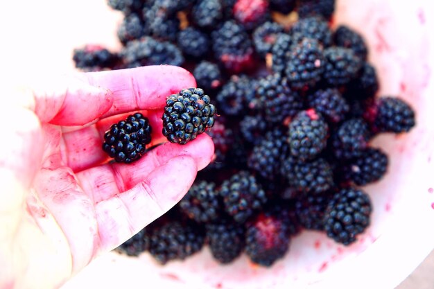 Photo cropped hand holding blackberries