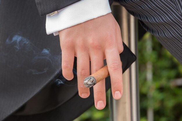 Cropped hand holding cigar