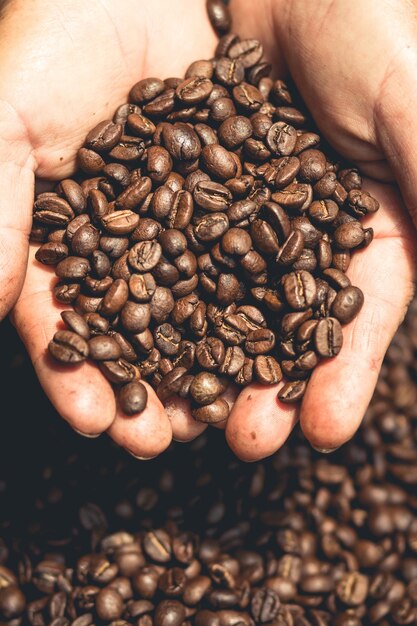 Photo cropped hand holding coffee beans