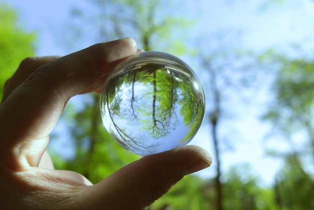 Cropped hand holding crystal ball against trees