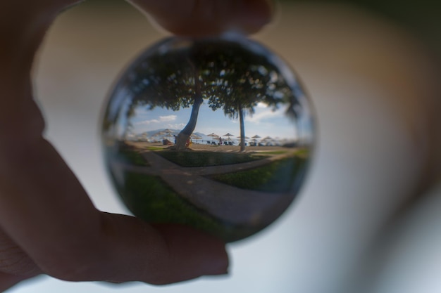 Foto mano tagliata che tiene una palla di cristallo con il riflesso di un campo e di alberi