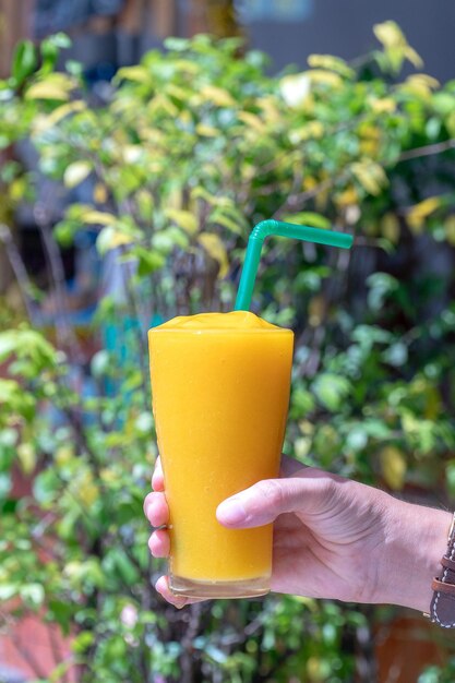 Cropped hand holding drink glass against plants