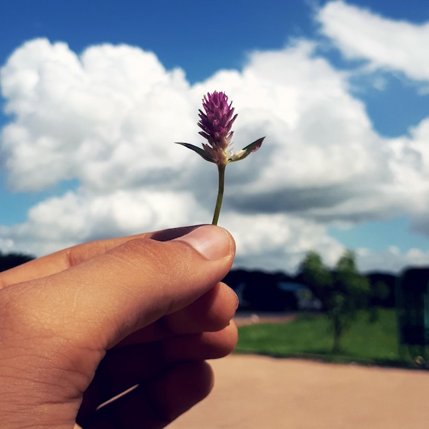 Foto mano tagliata che tiene un fiore contro un cielo nuvoloso