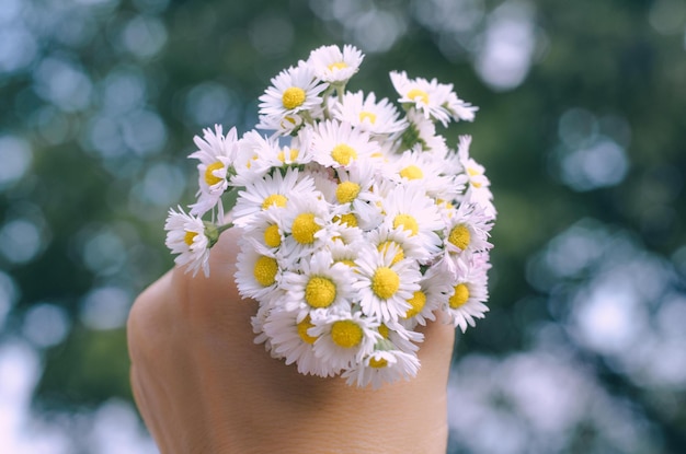 樹木に花を掲げている切り取られた手