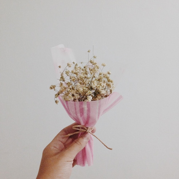 Photo cropped hand holding flowers against white background