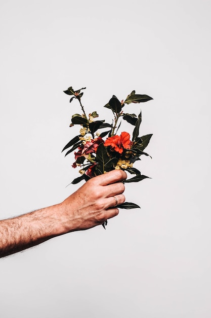 Photo cropped hand holding flowers against white background