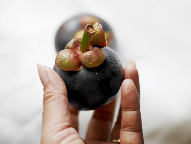 Photo cropped hand holding fruit