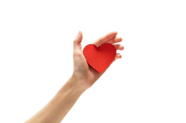 Photo cropped hand holding heart shape against white background