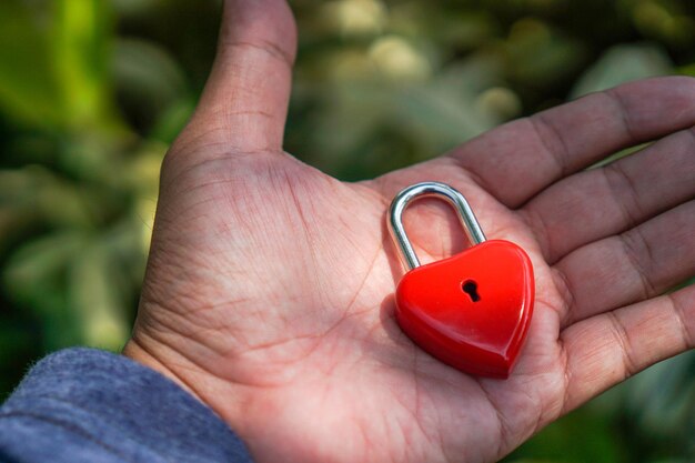 Foto chiusura a forma di cuore a mano tagliata