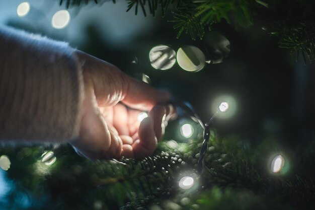 Foto mano tagliata che tiene una luce illuminata sull'albero di natale