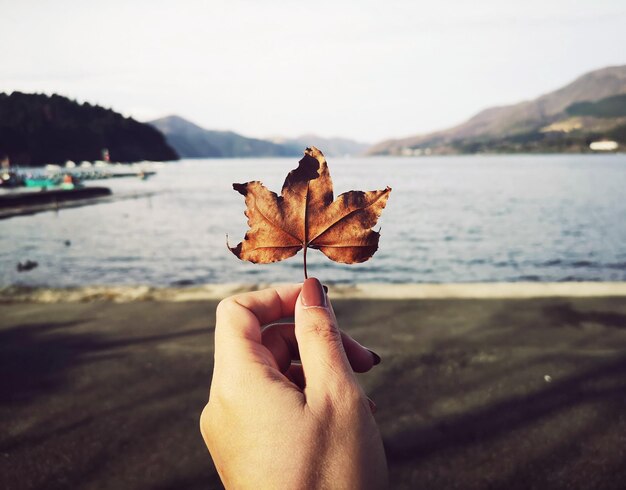 Foto mano tagliata che tiene una foglia vicino al lago