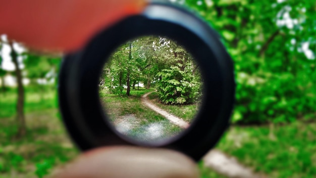 写真 公園の木に照らしてレンズを握る手を切り取った