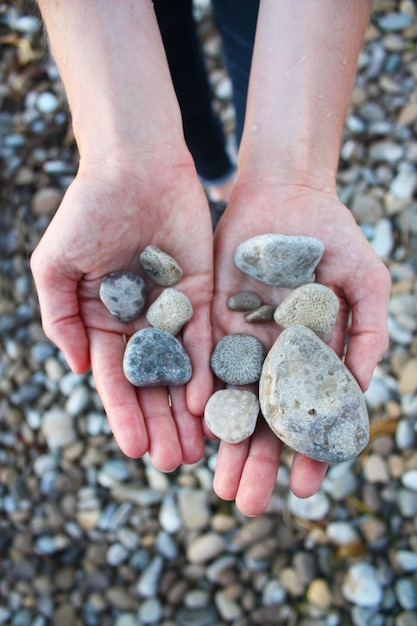 Photo cropped hand holding pebbles