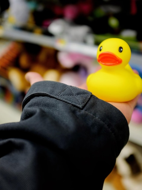 Photo cropped hand holding rubber duck