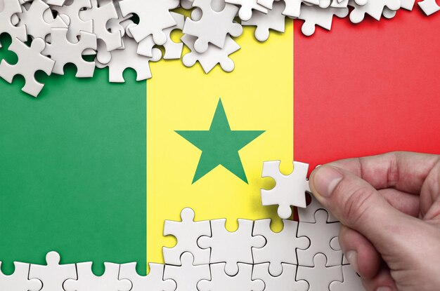 Cropped hand holding senegalese flag puzzle piece